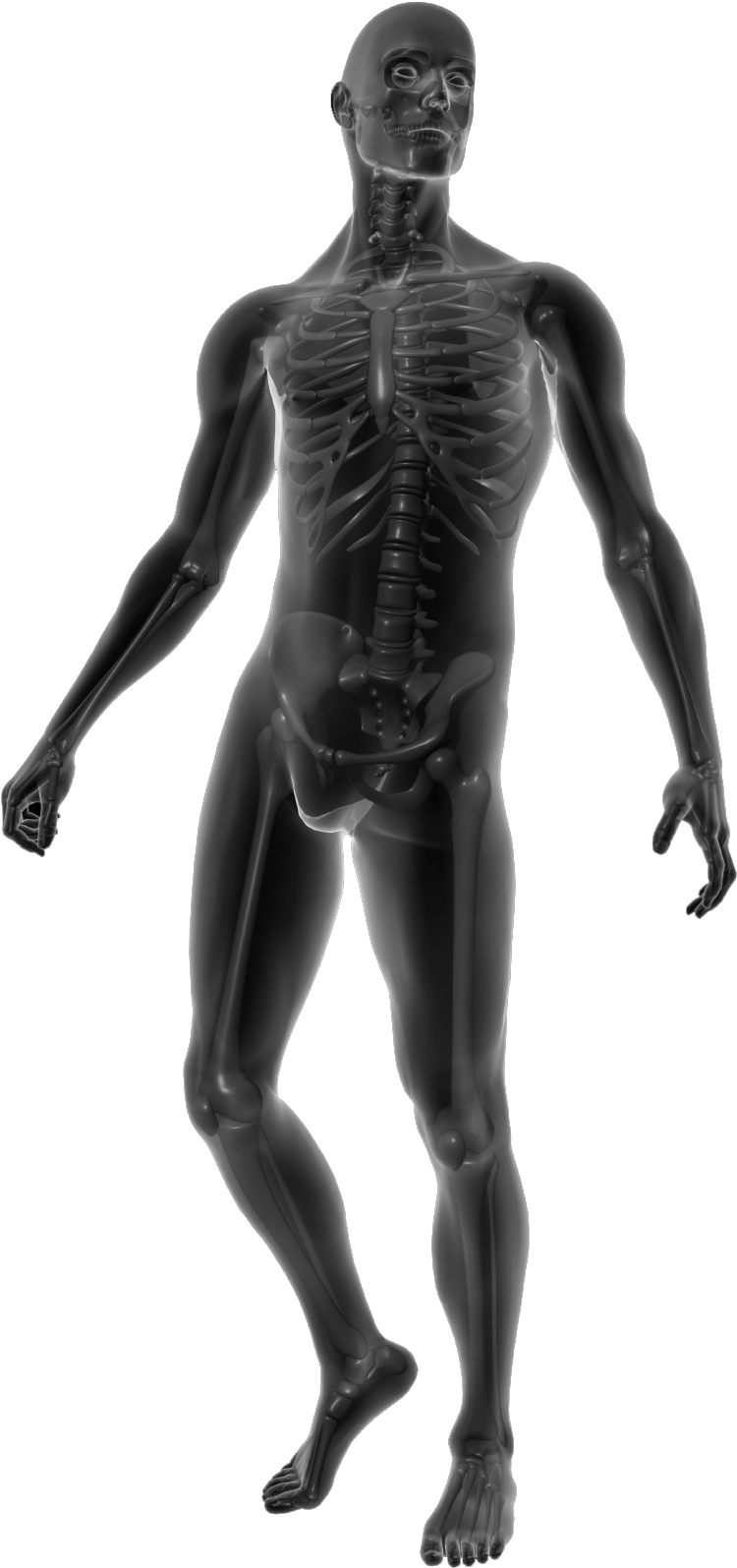 player-body